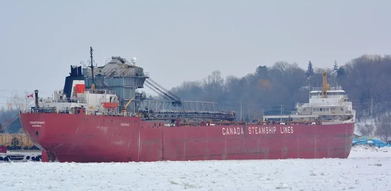 FRONTENAC Bulk Carrier IMO 6804848 photo 7
