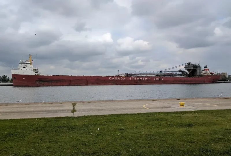 FRONTENAC Bulk Carrier IMO 6804848 photo 8