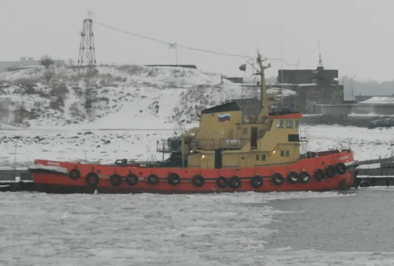 MOSHCHNIY General Cargo IMO 6805438 photo 10