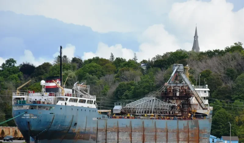 ALGORAIL Bulk Carrier IMO 6805531 photo 2