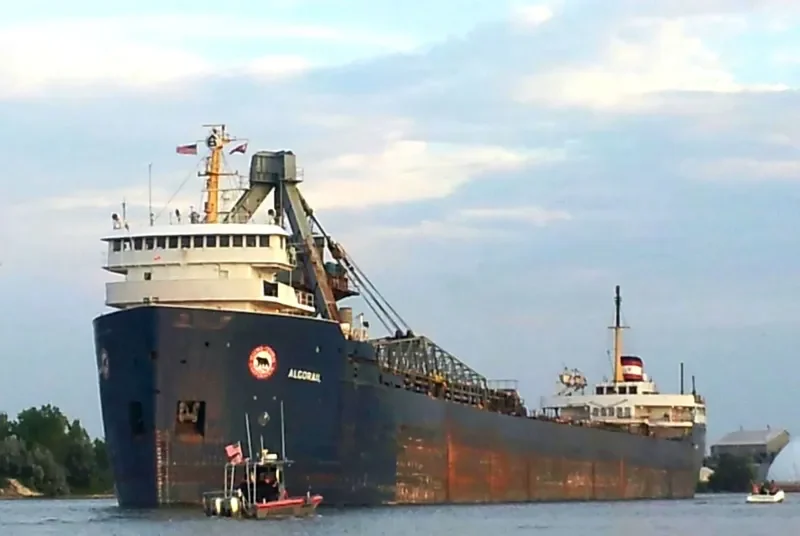 ALGORAIL Bulk Carrier IMO 6805531 photo 4