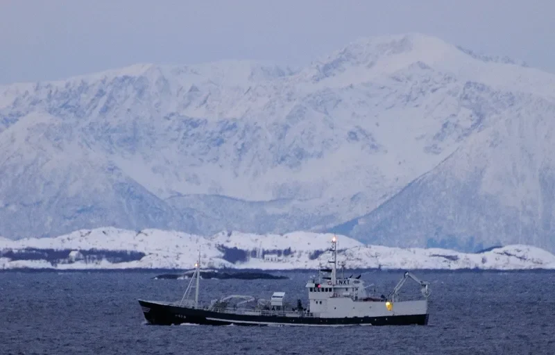 RADEK General Cargo IMO 6806535 photo 5