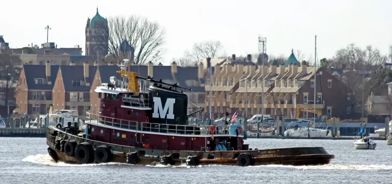 CAPE HENRY General Cargo IMO 6807022 photo 5