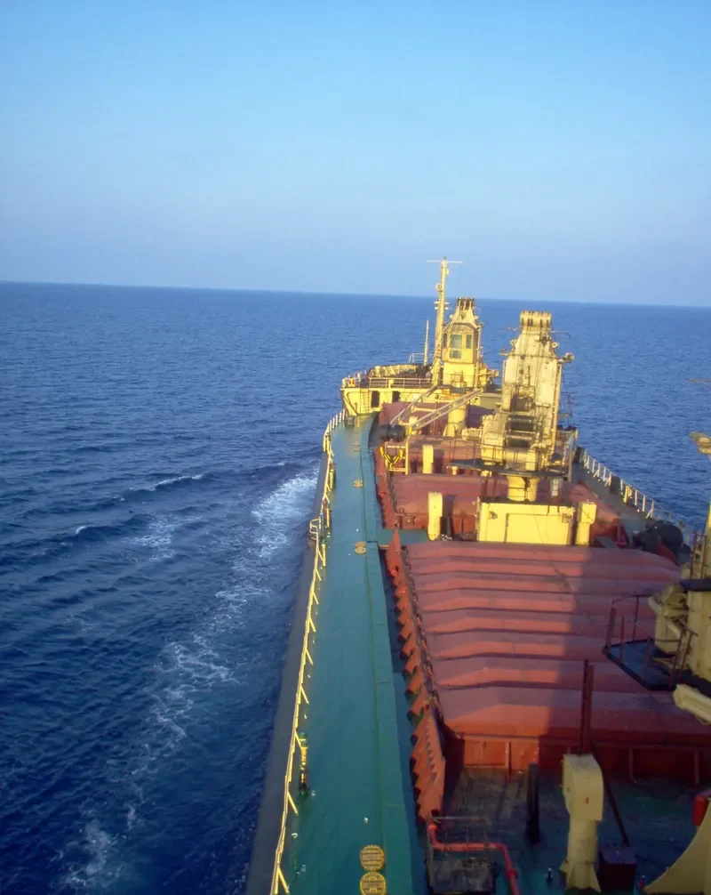 BUZLUDJA Bulk Carrier IMO 6808337 photo 2