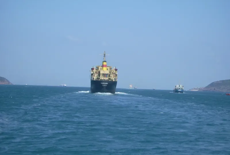 MURGASH Bulk Carrier IMO 6809343