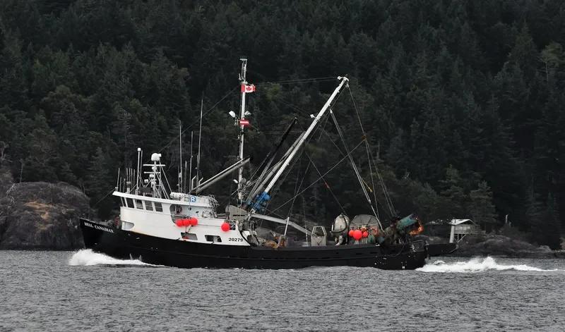 ROYAL CANADIAN General Cargo IMO 6810184
