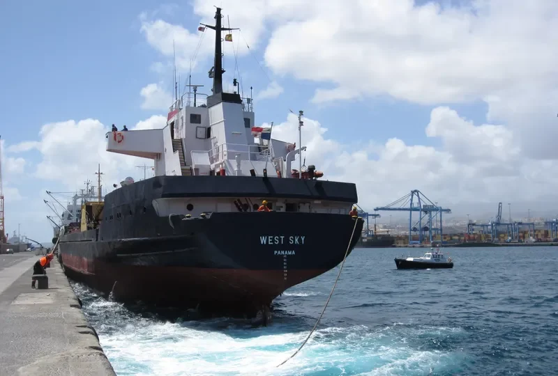 WEST SKY General Cargo IMO 6810201 photo 4