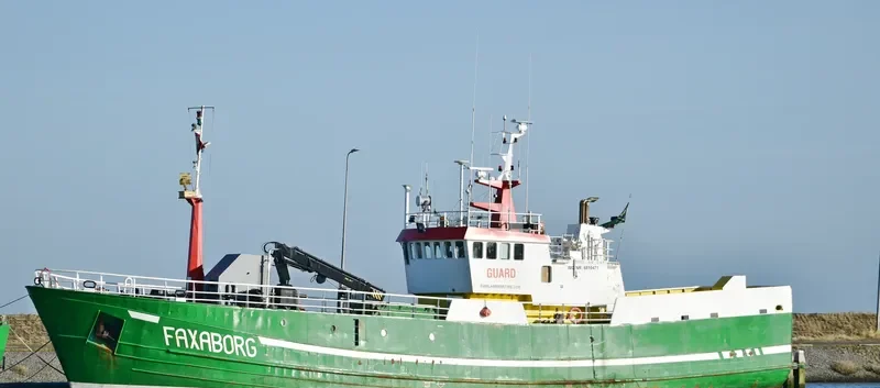 FAXABORG General Cargo IMO 6810471 photo 2