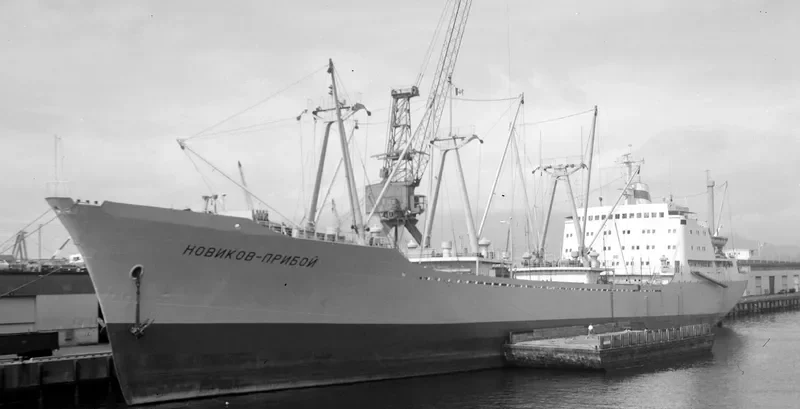 NOVIKOV PRIBOY Container Ship IMO 6810641