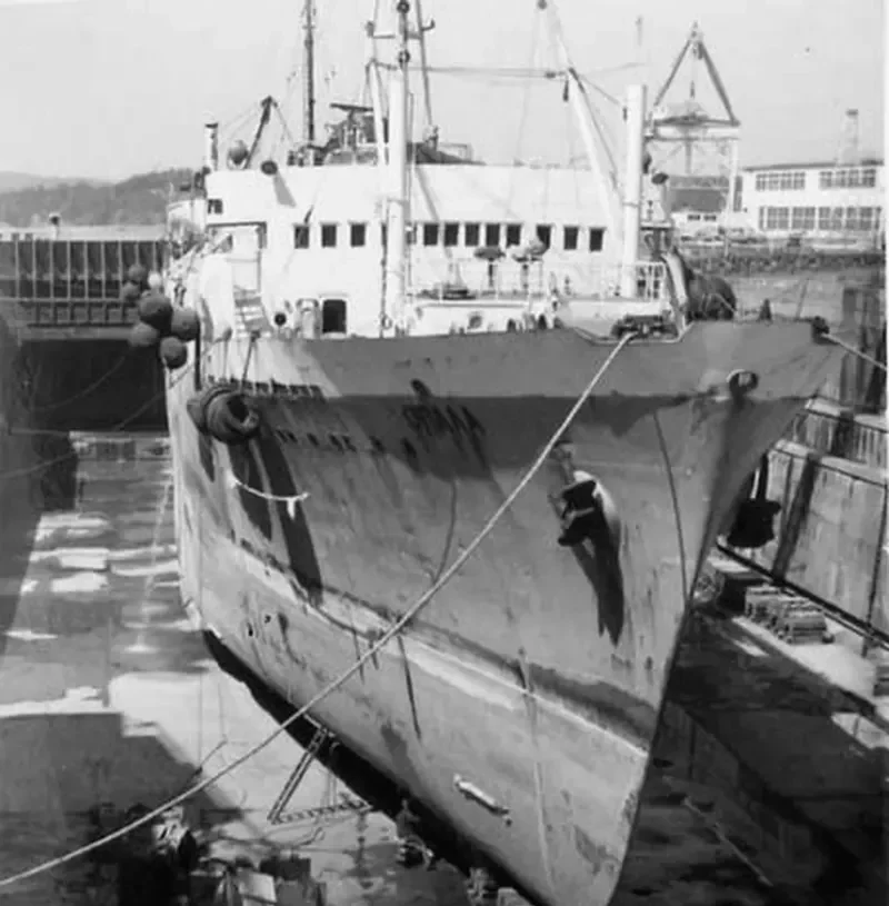 OPALA General Cargo IMO 6810976