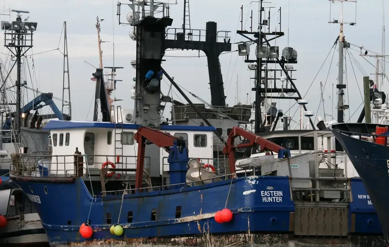 EASTERN HUNTER General Cargo IMO 6811229 photo 3