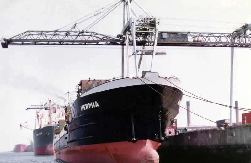 SARA General Cargo IMO 6812778 photo 3