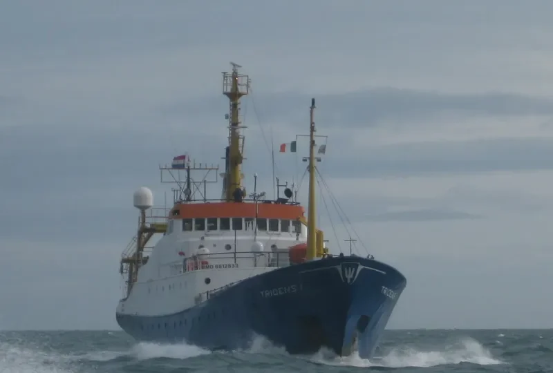 AG SURVEYOR General Cargo IMO 6812833 photo 4