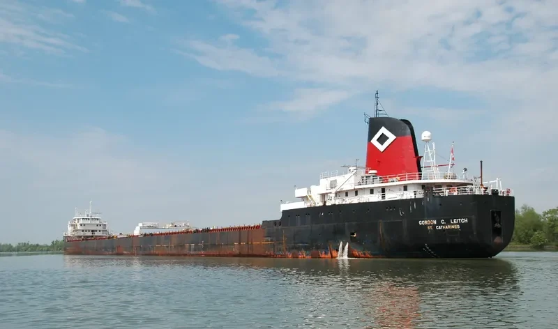 DON Bulk Carrier IMO 6815237