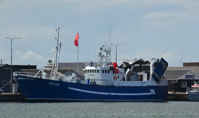 WESTERO General Cargo IMO 6815639