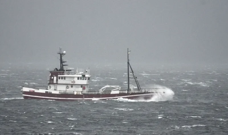 POLYNYA General Cargo IMO 6815720 photo 5