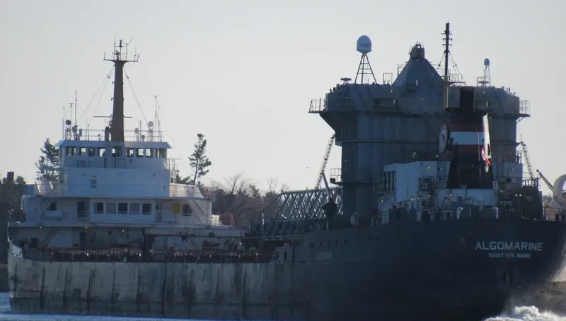 ALGOMARINE Bulk Carrier IMO 6816607 photo 6