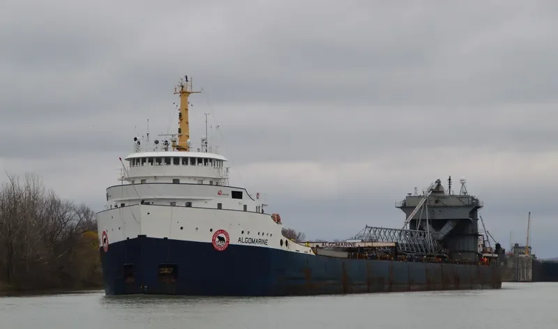ALGOMARINE Bulk Carrier IMO 6816607 photo 9
