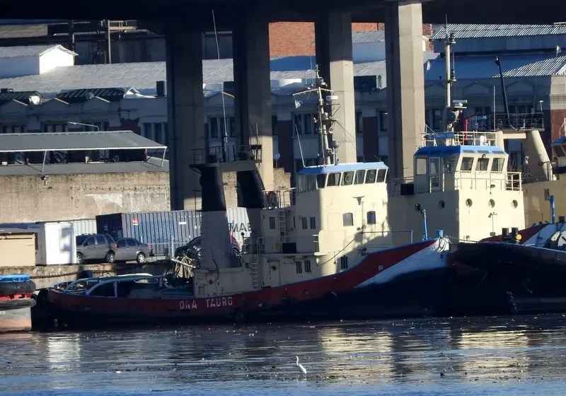 TAURO General Cargo IMO 6818679