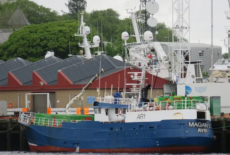 MAGAN D General Cargo IMO 6819623