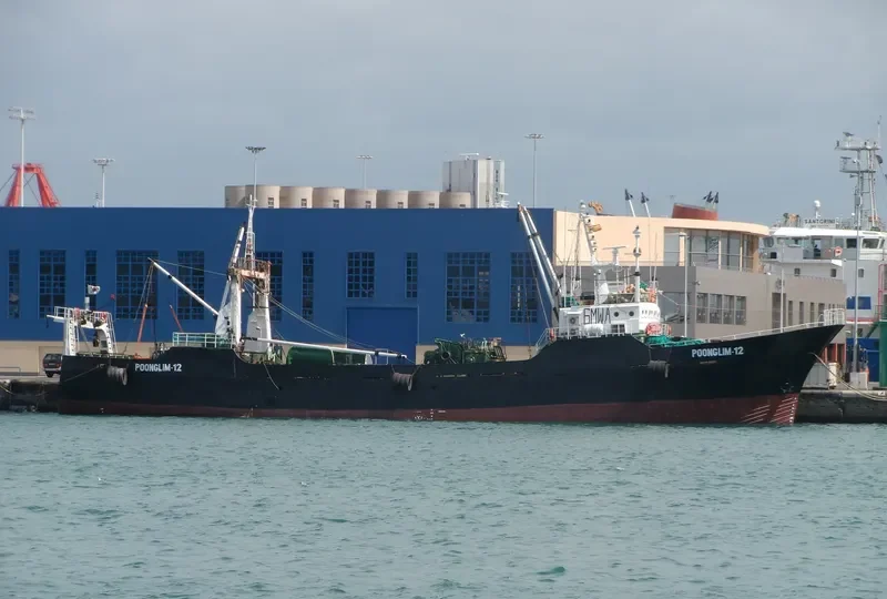 POONGLIM 12 General Cargo IMO 6820036