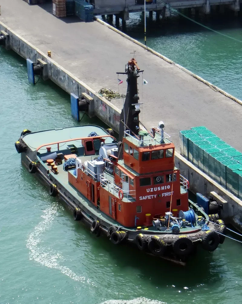 DAVTUG XII General Cargo IMO 6820086