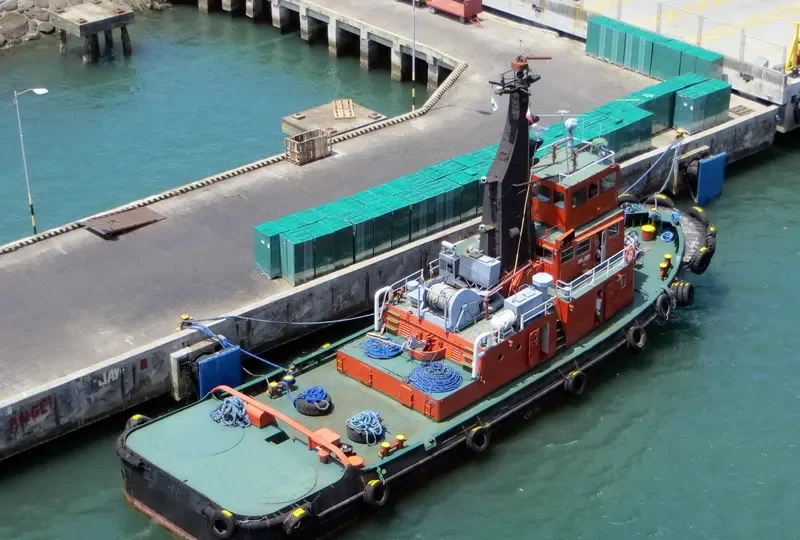 DAVTUG XII General Cargo IMO 6820086 photo 4