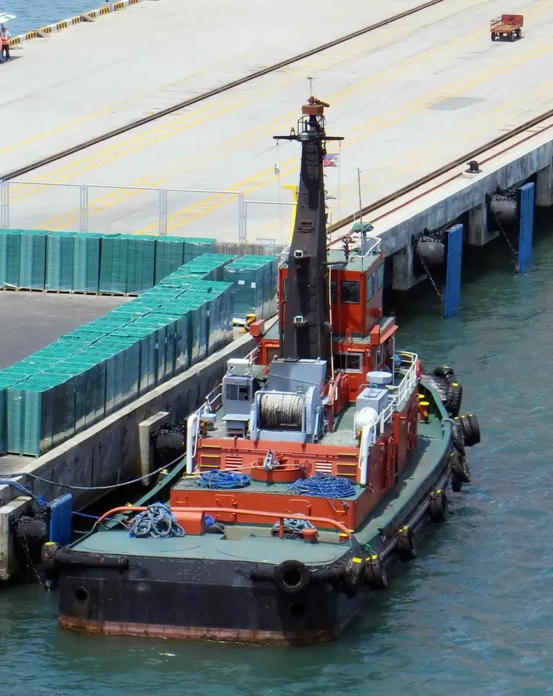 DAVTUG XII General Cargo IMO 6820086 photo 5