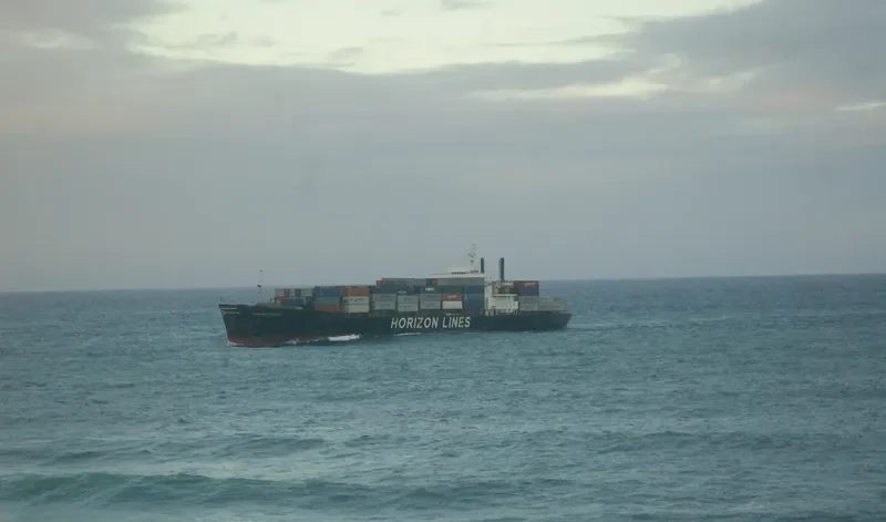 HORIZON DISCOVERY Container Ship IMO 6820579 photo 2
