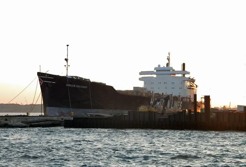 HORIZON DISCOVERY Container Ship IMO 6820579 photo 5
