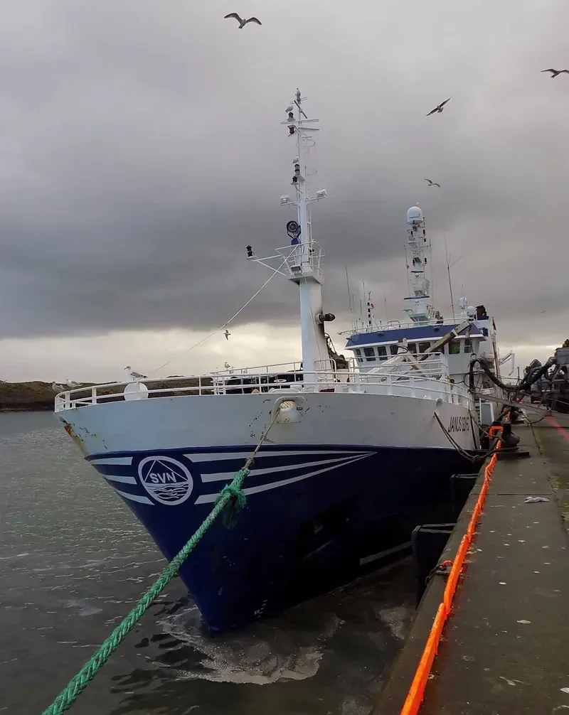 JANUS General Cargo IMO 6821638 photo 6