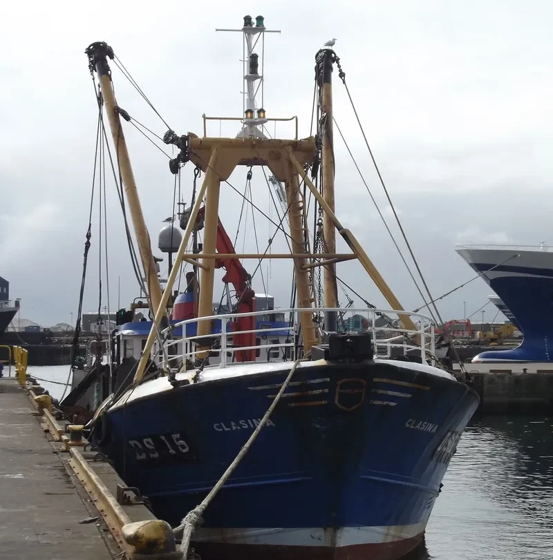 CLASINA General Cargo IMO 6821652 photo 9