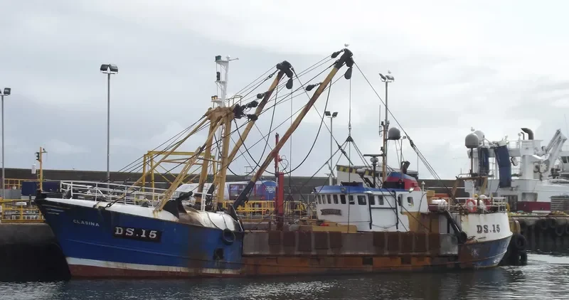 CLASINA General Cargo IMO 6821652 photo 10