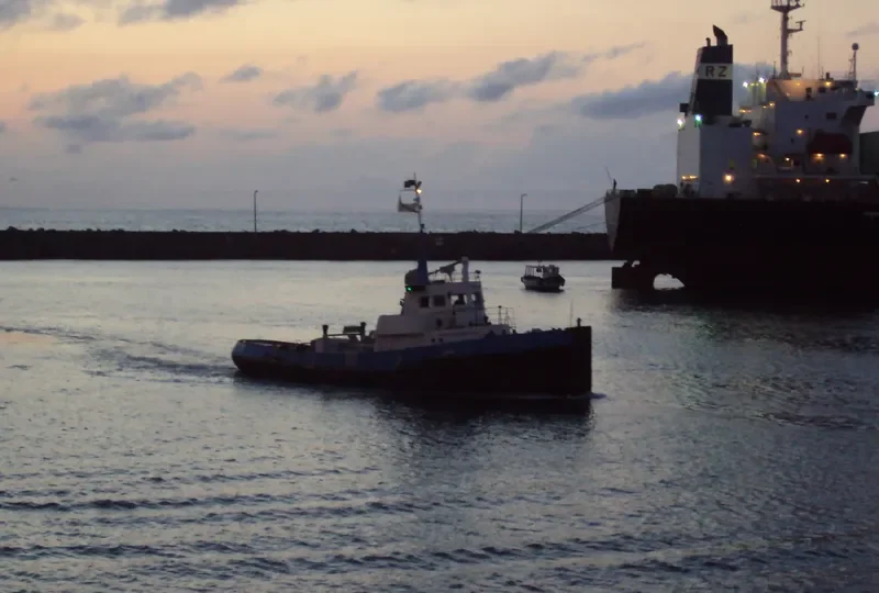DOLPHIN General Cargo IMO 6821729