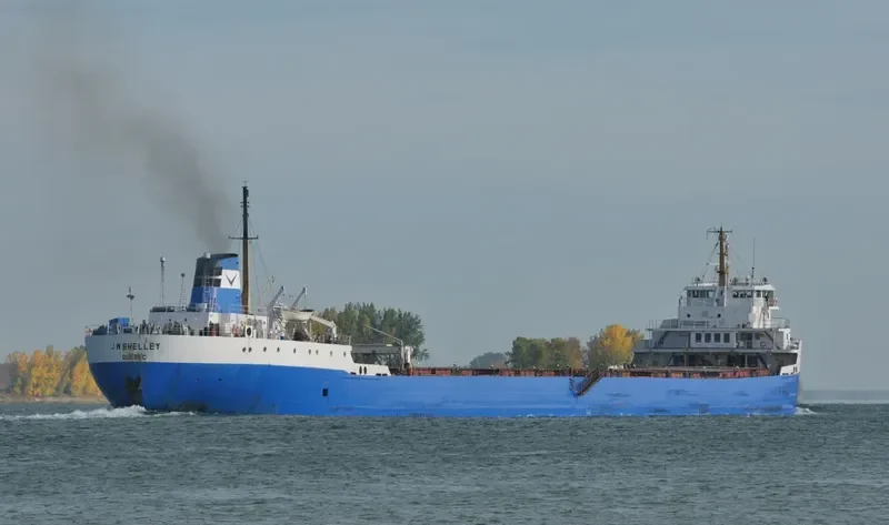 PHOENIX STAR Bulk Carrier IMO 6821937 photo 6