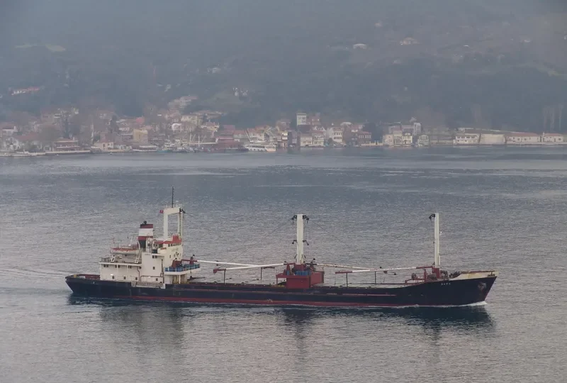 SARA General Cargo IMO 6822096 photo 2