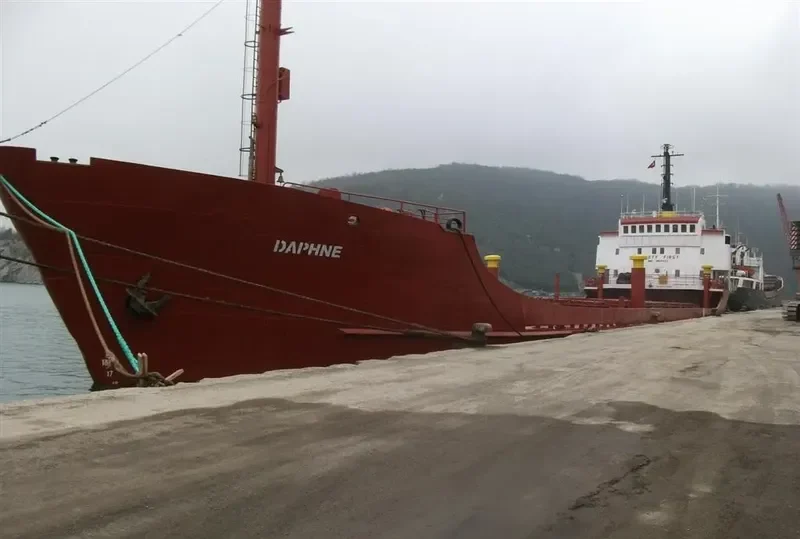 DAPHNE General Cargo IMO 6824422 photo 3