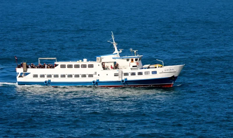 VIKING Passenger Ship IMO 6825696 photo 6