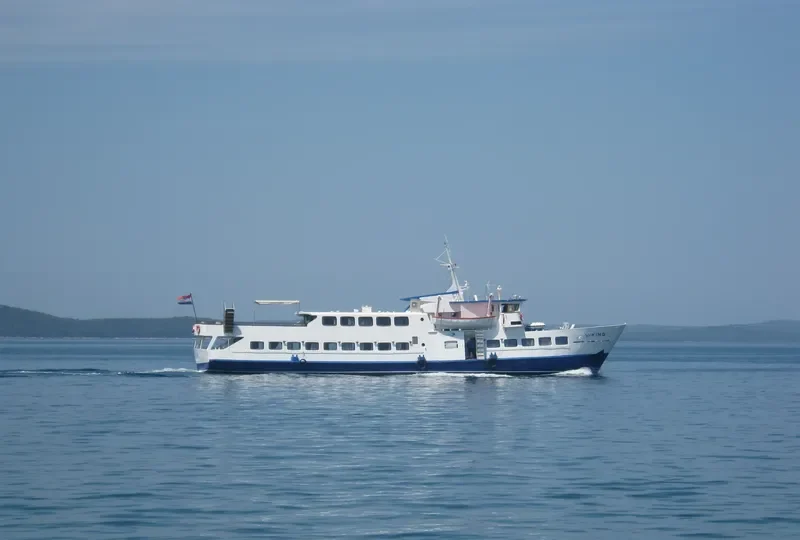 VIKING Passenger Ship IMO 6825696 photo 8