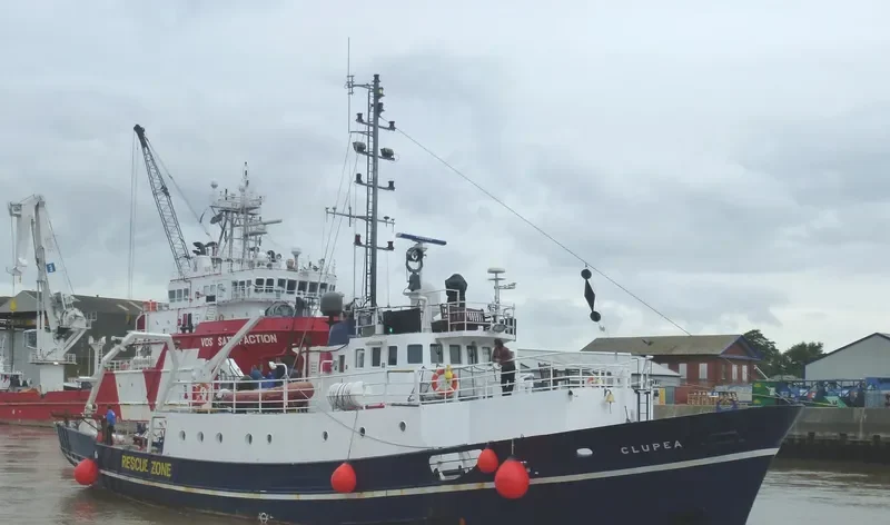 CLUPEA General Cargo IMO 6825842 photo 3
