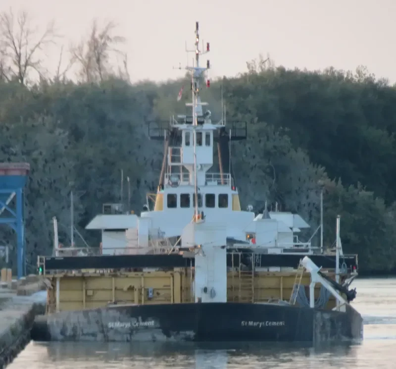 PETITE FORTE General Cargo IMO 6826119