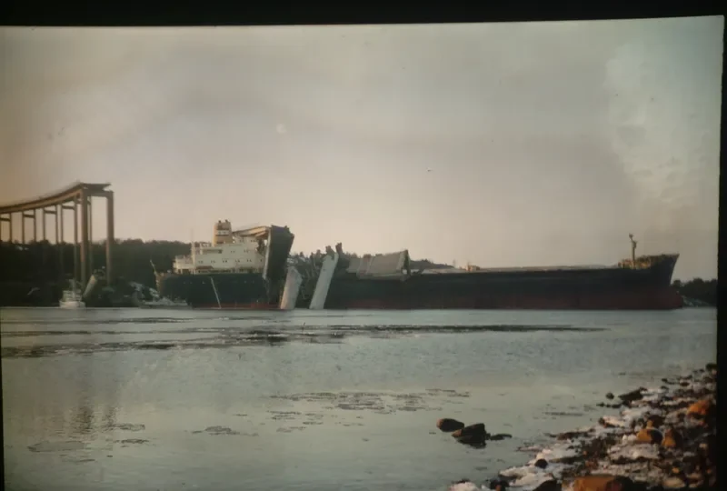 STAR LANAO Bulk Carrier IMO 6826200 photo 2