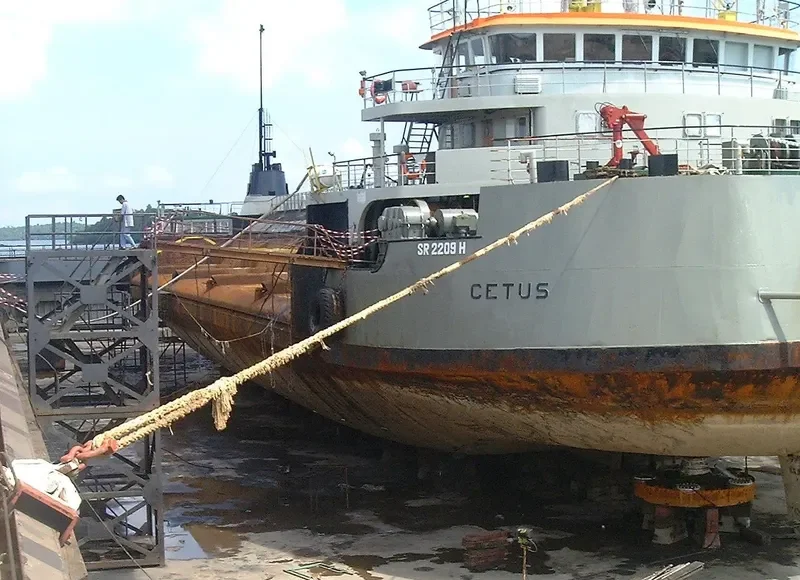 CETUS Bulk Carrier IMO 6827967