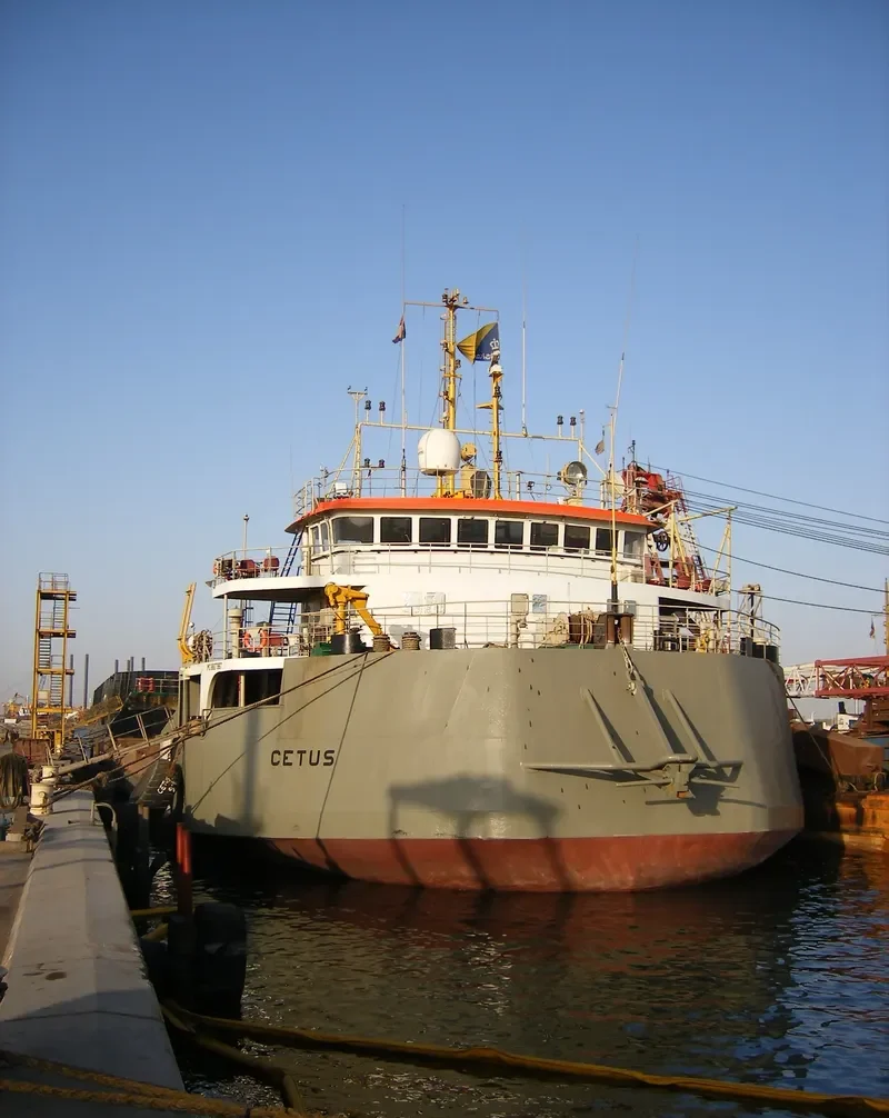 CETUS Bulk Carrier IMO 6827967 photo 3