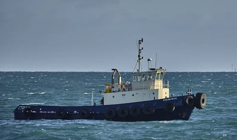 STIRLING SKATE General Cargo IMO 6827981 photo 2