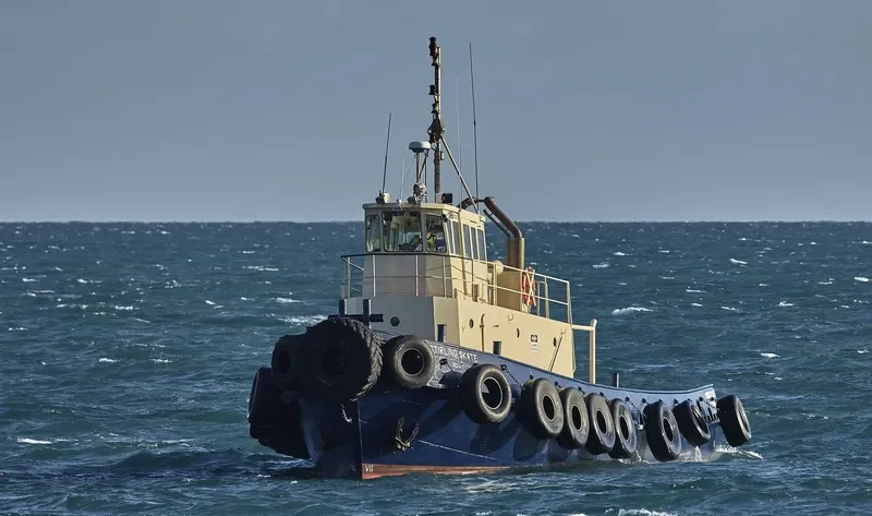 STIRLING SKATE General Cargo IMO 6827981 photo 3