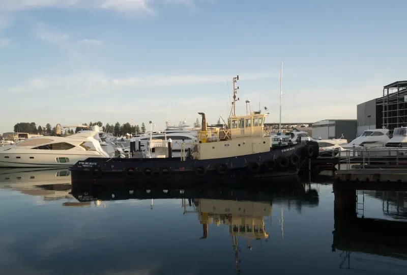 STIRLING SKATE General Cargo IMO 6827981 photo 8
