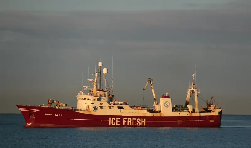 SNAEFELL General Cargo IMO 6828923