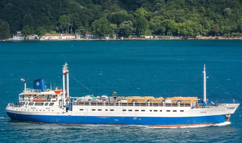 BECCARIA General Cargo IMO 6829082 photo 5