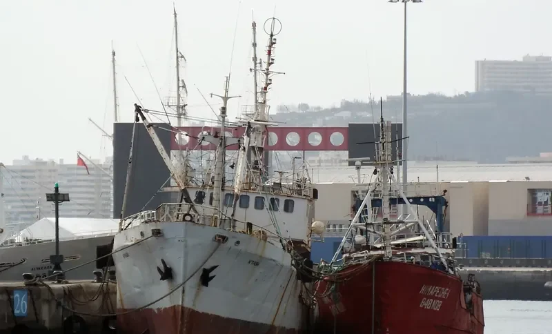 ALBA NO.11 General Cargo IMO 6829288 photo 2